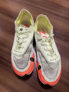 Item thumbnail for item 4e58a546-4d77-4322-bd8c-ff8b5abf6195