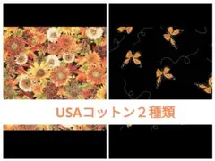 USAコットン　２種類