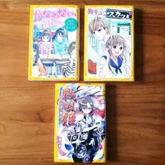 3冊セット・ かなわない、ぜったい。・胸キュンスカッとノベライズ・戦国姫