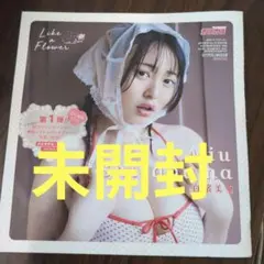 ヤングガンガン 2025年 No.16 白濱美兎 DVD④