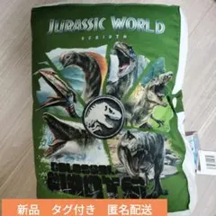 新品　タグ付き　ジュラシックワールド　クッション　図鑑　緑