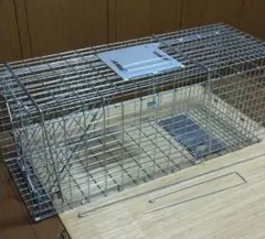 動物 捕獲器 猫捕獲器 Lサイズ