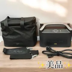 エコフローPro専用エクストラバッテリー EF4 PRO-EB ケース付き 2025年最新】ecoflow river pro専用エクストラバッテリーの人気