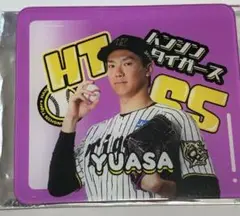 阪神タイガースガラコロC賞　湯浅投手セット