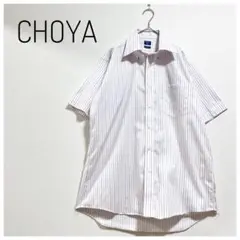 【美品】CHOYA ストライプ半袖シャツ　ホワイト コットン　XL ビジカジ対応