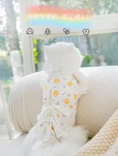 Item thumbnail for item fb15d4da-db1b-4db6-a070-6280cfa87c95