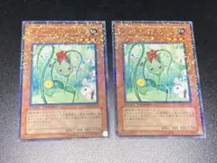 【匿名配送】 ナチュル・ローズウィップ DT04-JP021 レア 2枚セット