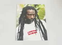 2019SS supreme ステッカー ″ブジュ・バントン″