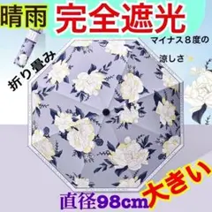 Item thumbnail for item a734ad1c-c756-4412-b0cb-8c4b000d643b