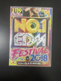 NO.1 EDM FESTIVAL 2018