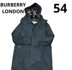 Item thumbnail for item 306f4fa0-540f-4996-93e1-676cfdebf984