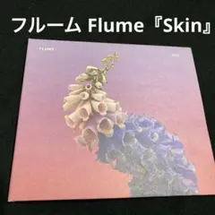 フルーム（Flume）『Skin』レイクォン アルーナジョージ ベックなど参加