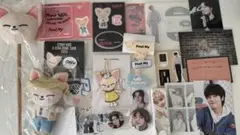 straykids スキズ アイエン フォクシニー まとめ売り