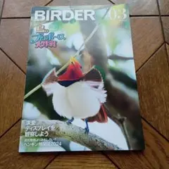 BIRDER 2024年3月号