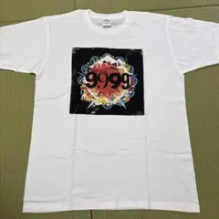 Item thumbnail for item 2978cfa6-816e-4d4d-a987-7c0715644b59