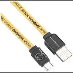 CHARLIE BROWN USB Type-C 充電ケーブル　チャーリーブラウ