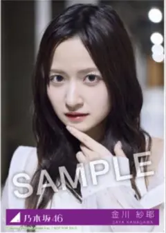 金川紗耶 乃木坂46 Same numbers 27時間限定 MV衣装 生写真