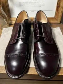 2025年最新】Alden 56201の人気アイテム - メルカリ