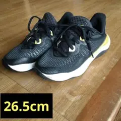 Item thumbnail for item 06e93b35-ea6e-47e9-9f1e-d9ad1f89317f