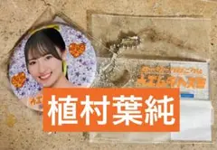 ロージークロニクル 植村葉純　モバガチャ ハロ！コン 第2弾セット
