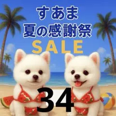 ✨夏の感謝祭セール✨パネル【Ｎｏ．34】