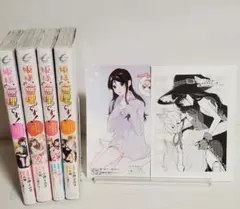 姫様、無理です！〜今をときめく宰相補佐様と関係をもつなんて〜 4巻セット 特典付