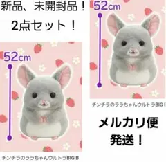 7月限定！新品☆【チンチラのララちゃん】なかよしウルトラBIGぬいぐるみ★全3種 2025年最新】チンチラのララちゃん ウルトラbigの人気アイテム