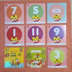 こどもちゃれんじぷち　DVD9枚セット(１年分+特別号等)