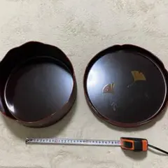 Item thumbnail for item c671d53f-6686-46d3-bb2b-e9b06faf42c4