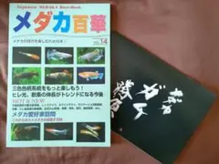 メダカ百華 VOL.14 カレンダー付き