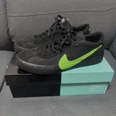 希少モデル Poets × Nike SB Bruin QS 28cm