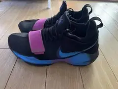PG1