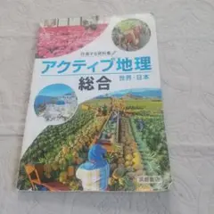 浜島書院　アクティブ地理　総合 教科書