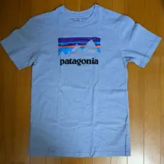 【美品】patagonia Sサイズ Tシャツ 山グラフィック/RBE