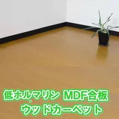 【5%引き】ウッドカーペット 江戸間6畳 低ホルマリン カラー：オーク 最安値