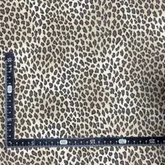 Item thumbnail for item cb86c71f-e9d7-4d10-bb6b-90c3e0920c9a
