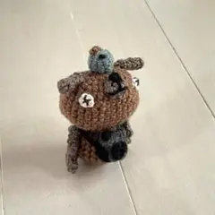 カメラわんこ