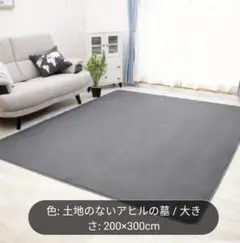 フランネルラグ・カーペット 200×300cm