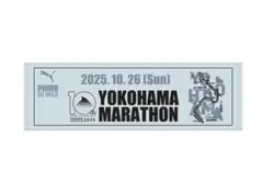 Item thumbnail for item 6603920c-5a4c-43db-9c84-c7f4b1e23538