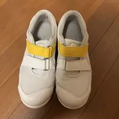 Item thumbnail for item 59a53840-93da-4ad4-b19e-5babd3e1559b