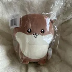 ナガノのカワウソ ぬいぐるみ C賞