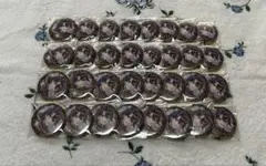 ルカストンプシー 2周年缶バッジ32点セット