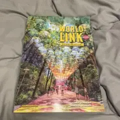 WORLD LINK