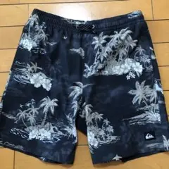 クイックシルバー　男児　水着　160