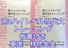高2ハイレベル現代文トレーニング 東進 林修先生