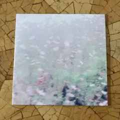 CHIHEI HATAKEYAMA + HAKOBUNE / THE FALL