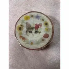 猫の顔 八