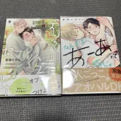 宮田トヲル ボーイズラブ漫画 2冊セット