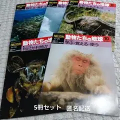 週間朝日百科「動物たちの地球」全巻144冊、収納用バインダー14冊セット Amazon.co.jp: 週刊朝日百科 動物たちの地球 全144冊セット : 本