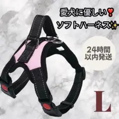 Item thumbnail for item 9dc7da72-b206-47ca-9e11-6f4fb184c4b2
